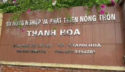Giám đốc Sở Nội vụ Thanh Hóa nêu lý do chưa thể xử lý “chân dài” được bổ nhiệm thần tốc