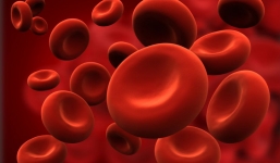 6 dấu hiệu cảnh báo cho thấy cơ thể bạn đang bị thiếu sắt