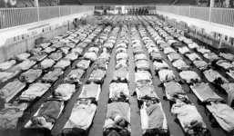 Trong muôn vàn dịch bệnh chết người, đâu là con virus nguy hiểm nhất lịch sử? Đáp án sẽ khiến tất cả phải giật mình