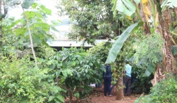 Điều tra nguyên nhân cái chết bí ẩn của đôi nam nữ trong chòi rẫy