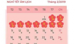 Lịch nghỉ lễ năm 2019: Tết Nguyên đán Kỷ Hợi là nghỉ 9 ngày
