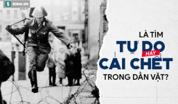 Kết cục cay đắng của người lính Đông Đức: Vượt bức tường Berlin để tìm tự do hay cái chết?