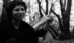 Những người này khẳng định mình bị... dị ứng với sóng Wifi, nhưng sự thực đằng sau là gì?