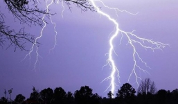 Ba đứa trẻ bị sét đánh thương vong khi trú mưa ở bụi tre