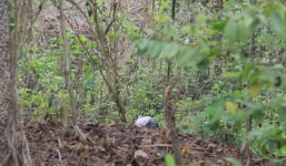 Giết người rồi mang thi thể giấu trong rừng