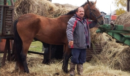 Cưỡi ngựa đi làm phản đối xăng tăng giá, nghị sĩ Nga bị công an tạm giữ