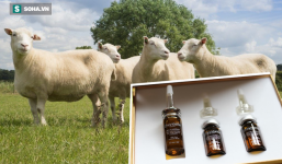 3 tiến sĩ VN ở nước ngoài bóc trần loại tế bào gốc đắt 'cắt cổ' với người tiêu dùng Việt