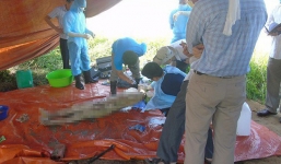 Cán bộ pháp y thông tin về vụ khai quật tử thi nữ kế toán trưởng