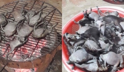 Góc đặc sản: Món ếch nướng cả con không bỏ gì hết khiến dân mạng băn khoăn có nên làm thử hay không