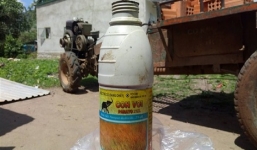 Thấy có lỗi sau khi đánh người, nam thanh niên uống thuốc diệt cỏ tự tự