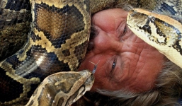 Giết người sau vài phút, nuốt chửng trong 1 giờ: Cách tấn công và vũ khí của trăn châu Á