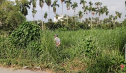 Hốt hoảng phát hiện thi thể người đàn ông nhiều hình xăm trong bãi cỏ