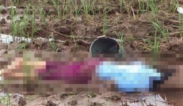 Người phụ nữ tử vong dưới ruộng bên cạnh xô ốc đang bắt dở
