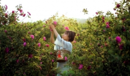 Cuộc sống đẹp như trong mơ với khu vườn không khác gì cổ tích của cô gái trẻ vừa xinh đẹp lại vô cùng đa tài