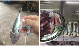 Góc cảnh giác: Thanh niên mua cân mực tươi về rồi cay đắng phát hiện ra trong đó có nửa cân là cá nục