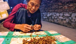 Dân Hà Nội vặt cánh châu chấu mùa World Cup: Thiếu hàng 'xuất khẩu' về các quán nhậu!