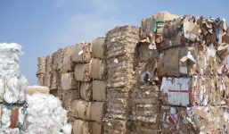 Tổng cục Hải quan yêu cầu kiểm định phế liệu nhập khẩu trước thông quan