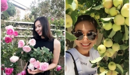 Tình cũ Bằng Kiều khoe vườn cây trái 'ăn không hết' tại Mỹ
