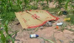 Phát hiện thi thể nữ giới cạnh người đàn ông bất động ở ruộng ngô