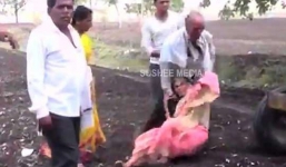 Nghịch tử lôi xềnh xệch mẹ già làm lá chắn sống cho máy cày