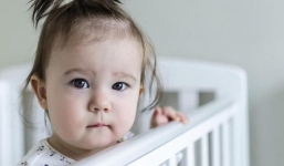 Cậu bé 12 tuổi tới đồn cảnh sát tự thú vì trót lấy trộm tiền của mẹ và bài học các bậc phụ huynh nên nhớ