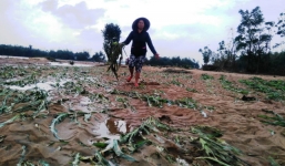 Xem xét miễn, giảm lãi vay với người dân bị mưa lũ tại miền núi Bắc