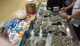 Phát hiện 4kg cần sa cất giấu tinh vi tại cửa khẩu sân bay Tân Sơn Nhất