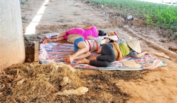 Hà Nội: Người dân trải bạt ngủ trưa dưới gầm cầu để tránh nắng