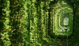 Ghé thăm “đường hầm tình yêu” đẹp ma mị ở Ukraine, nơi những cặp đôi một lần lạc bước sẽ chẳng muốn quay về