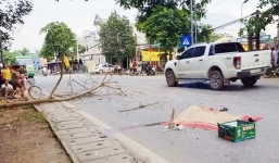 Tình tiết bất ngờ vụ đôi nam nữ sắp cưới thương vong vì cành cây rơi trúng