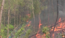Người đàn ông tử vong thương tâm khi lên núi dập lửa ở Nghệ An