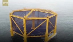 Lồng nuôi 300.000 cá hồi giữa biển sâu nhất thế giới của Trung quốc