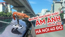 Sống chung với Hà Nội 40 độ là như thế nào?