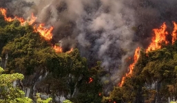 Hà Nam: Nắng nóng, núi đá bốc cháy dữ dội ngay gần cây xăng