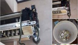 Bật điều hòa không mát, cô gái té xỉu khi thấy cả đàn rắn bên trong