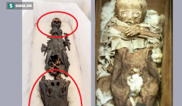 Sau hơn 1 thế kỷ chìm trong bí mật, 'xác ướp hai đầu' xuất hiện, hé lộ câu chuyện kỳ lạ