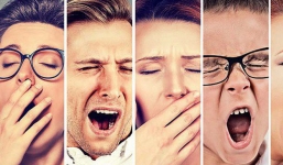 Chắc là bạn không biết: Ngáp chính là một trong những bí ẩn lớn nhất của con người