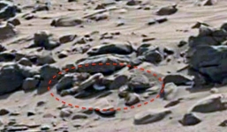 Bí ẩn về bộ xương dài gần 2m nghi của người ngoài hành tinh