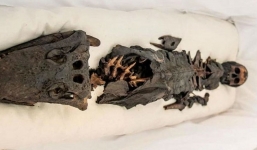 Phát hiện xác ướp hai đầu kỳ lạ nhất thế giới: một đầu người, một đầu cá sấu