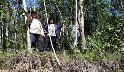 Hàng chục hộ dân Bình Định sống trong sợ hãi vì núi chằng chịt vết nứt