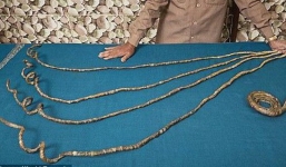 Sau 66 năm ròng khổ sở gìn giữ, người đàn ông này đã cắt đi bộ móng tay đạt kỷ lục Guinness của mình