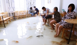 Chủ quán cafe Sài Gòn cho khách cởi giày, ngâm chân dưới hồ cá: 'Có nội quy cho khách, chúng tôi còn cử 8 nhân viên túc trực 24/24 theo dõi cá'