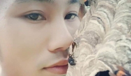 Nóng trên mạng: Thanh niên dũng cảm selfie với tổ ong vò vẽ