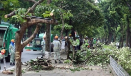 Hà Nội chủ động đề phòng nguy cơ cây xanh gãy đổ do bão số 3