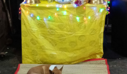 Hình ảnh xúc động: Chủ vừa qua đời, chú chó nhỏ buồn bã bỏ cả ăn để túc trực bên linh cữu không chịu rời