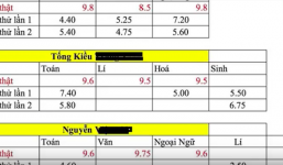 Điểm số thật của 3 thí sinh Hà Giang từng nằm trong top 11 thí sinh có điểm thi THPT cao nhất nước