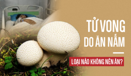 3 mẹ con nguy kịch, tử vong do ăn nấm: Cảnh báo những loại nấm có độc tuyệt đối không ăn