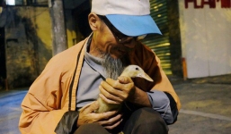 Câu chuyện đáng yêu về chú vịt con lon ton theo sau ông lão vé số ở Sài Gòn: 'Từ ngày con quỷ sứ này chạy theo, ông thấy vui hơn nhiều'