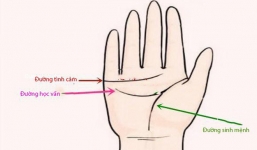 Chỉ cần lòng bàn tay có những đặc điểm này hậu vận của bạn nếu không giàu sang phú quý thì cũng an nhàn hưởng phước cả đời