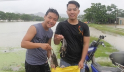 Người dân Nghệ An bơi trong lũ đánh cá, săn bắt chuột làm thức ăn